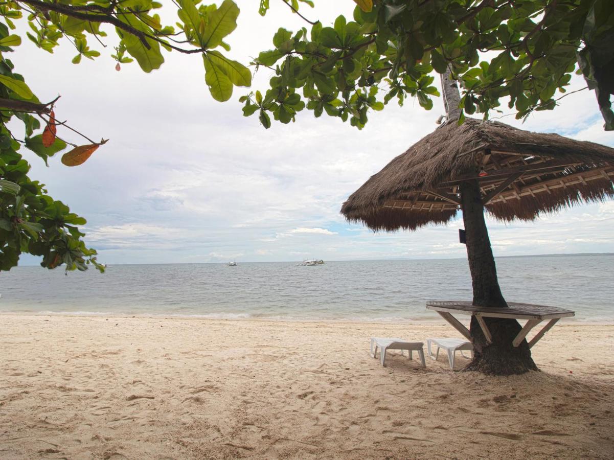 Oyo 853 Malapascua Beach And Dive Resort المظهر الخارجي الصورة